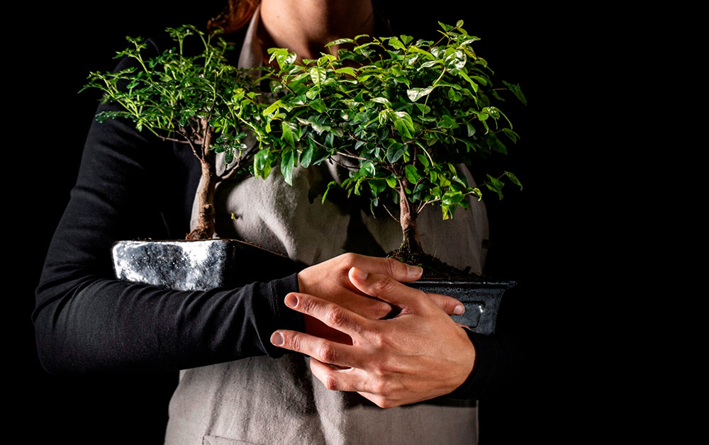 Профессия эколог