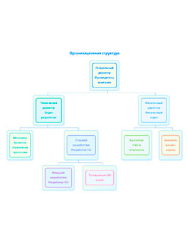 Схема - организационная структура