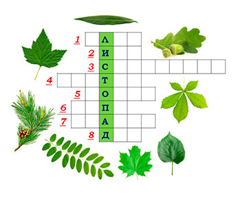 Кроссворд как продукт проектной деятельности