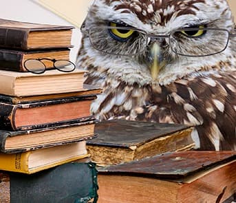 Сравнительно-сопоставительный анализ как продукт проектной деятельности