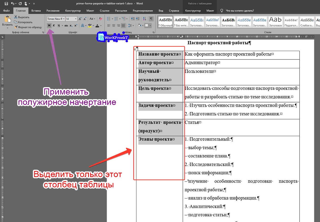 Выделение части текста паспорта проектной работы оформленного в таблице